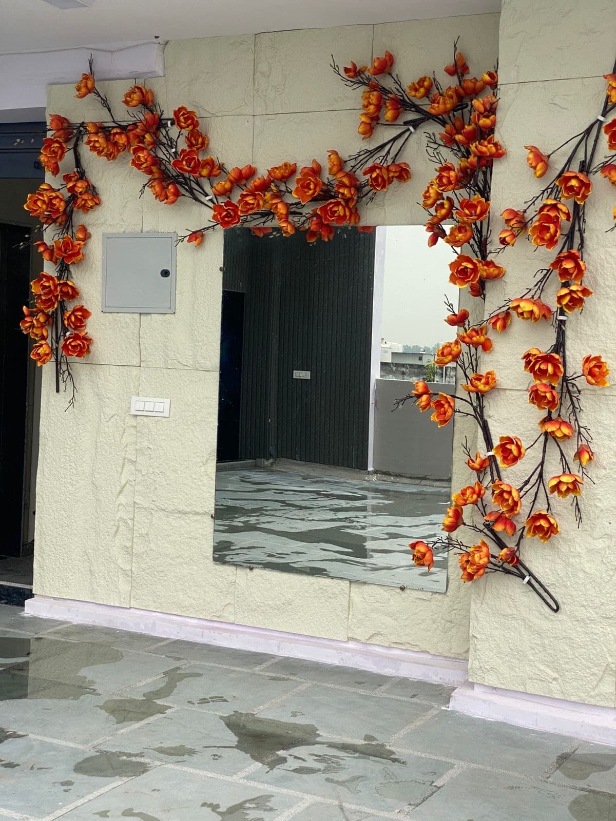 Zica Zima Naraina Zica Zima Gallery photo 2